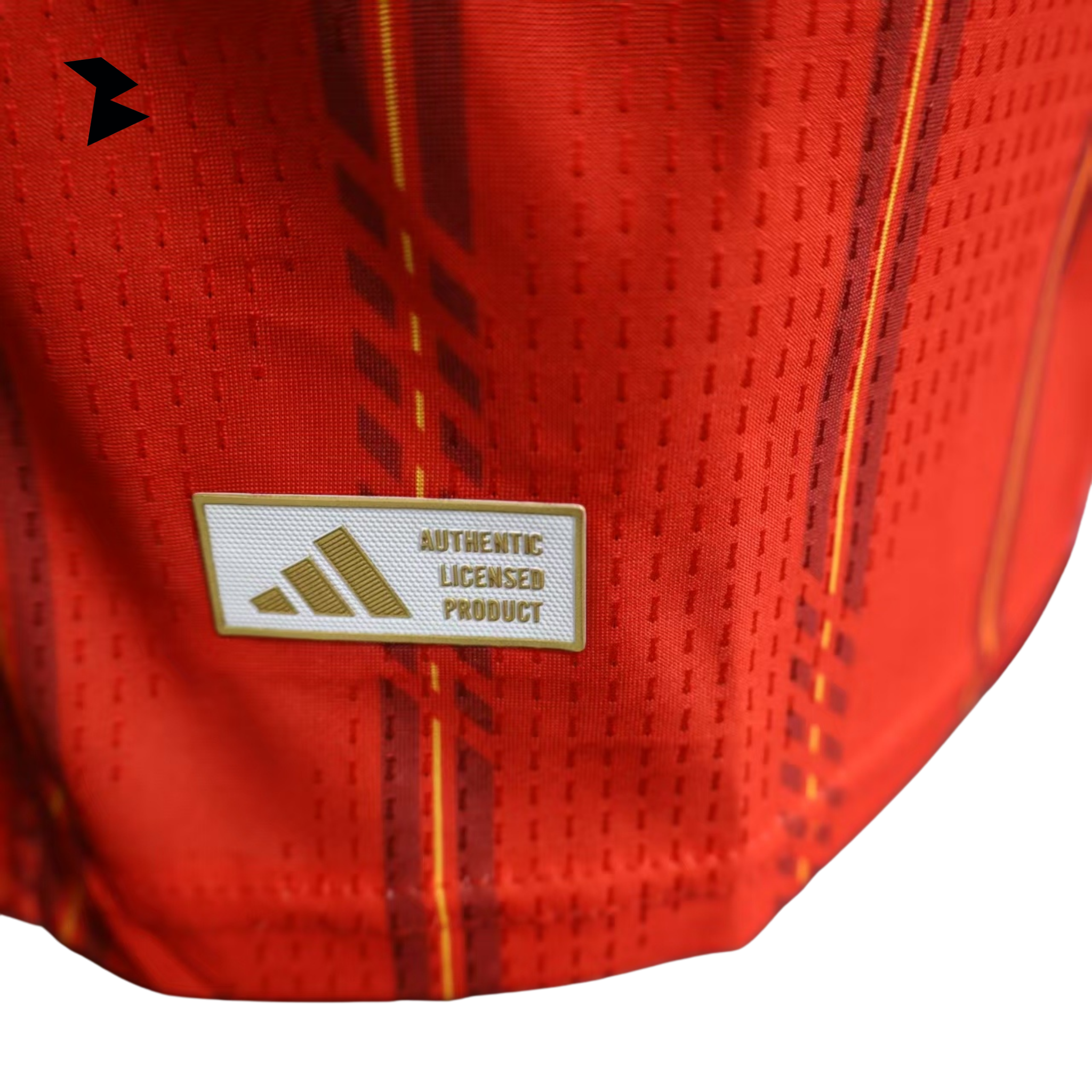 España Local 2026 - Versión Jugador