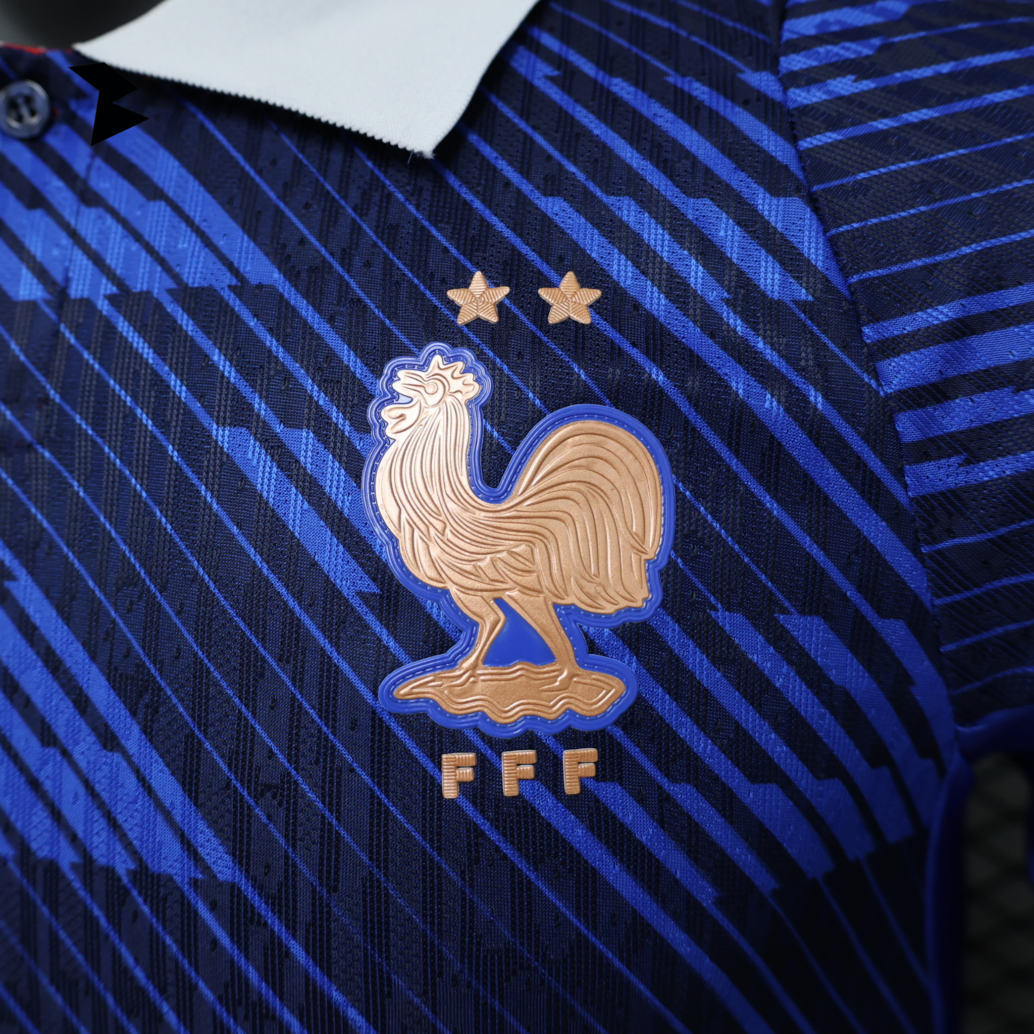 Francia Local 2026 - Versión Jugador