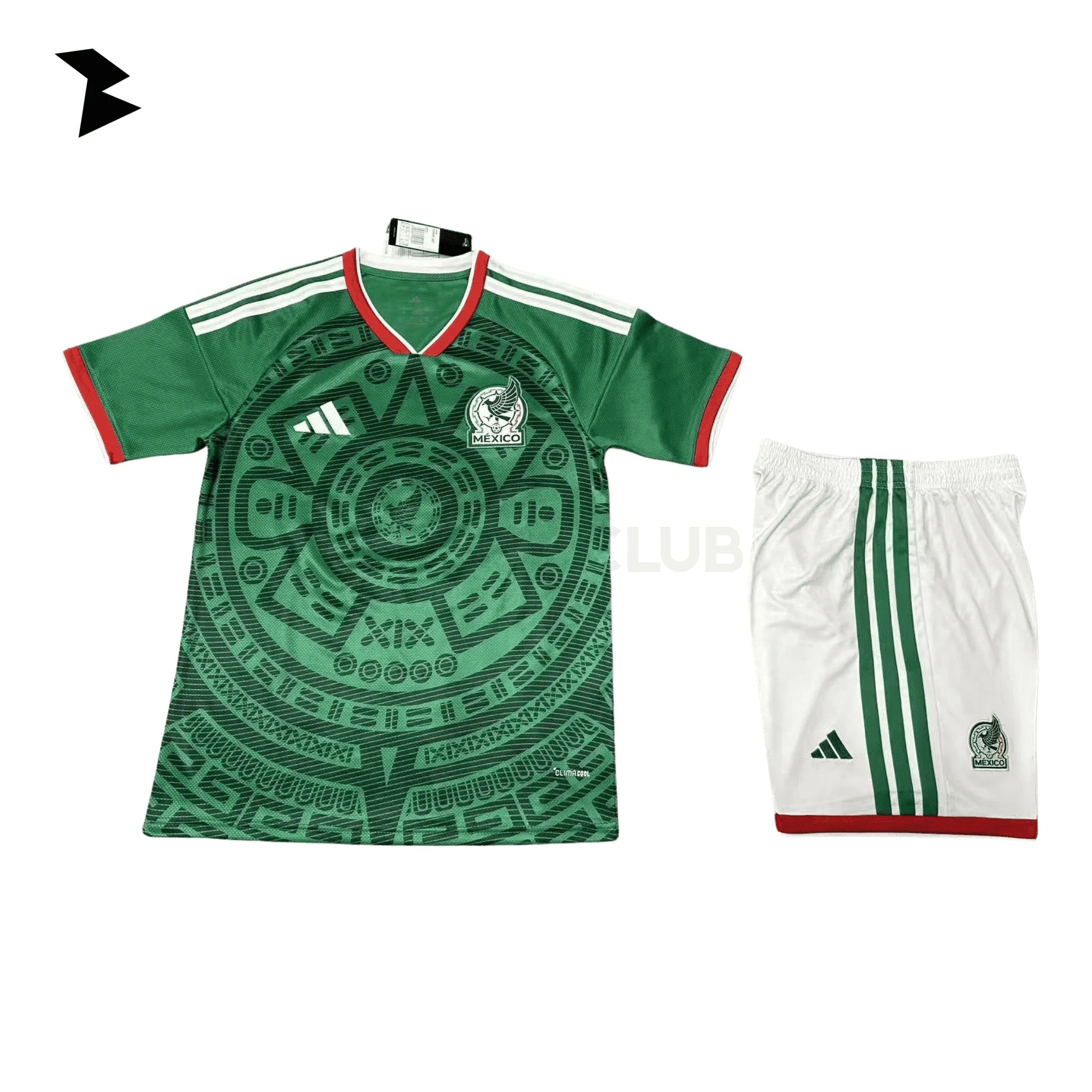 México Local 2026 - Versión Fan Niño
