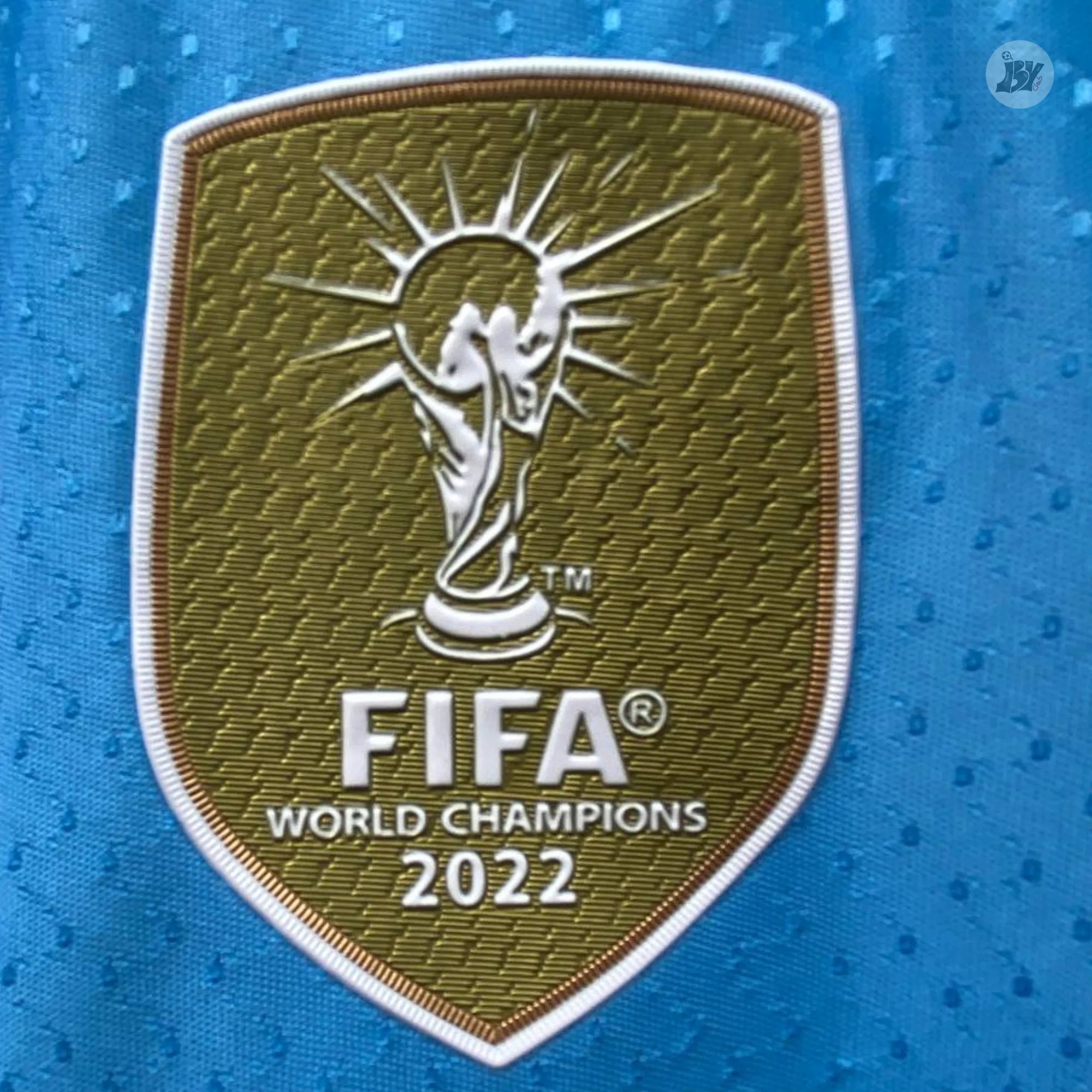 Argentina Custom 2024 - Versión Fan