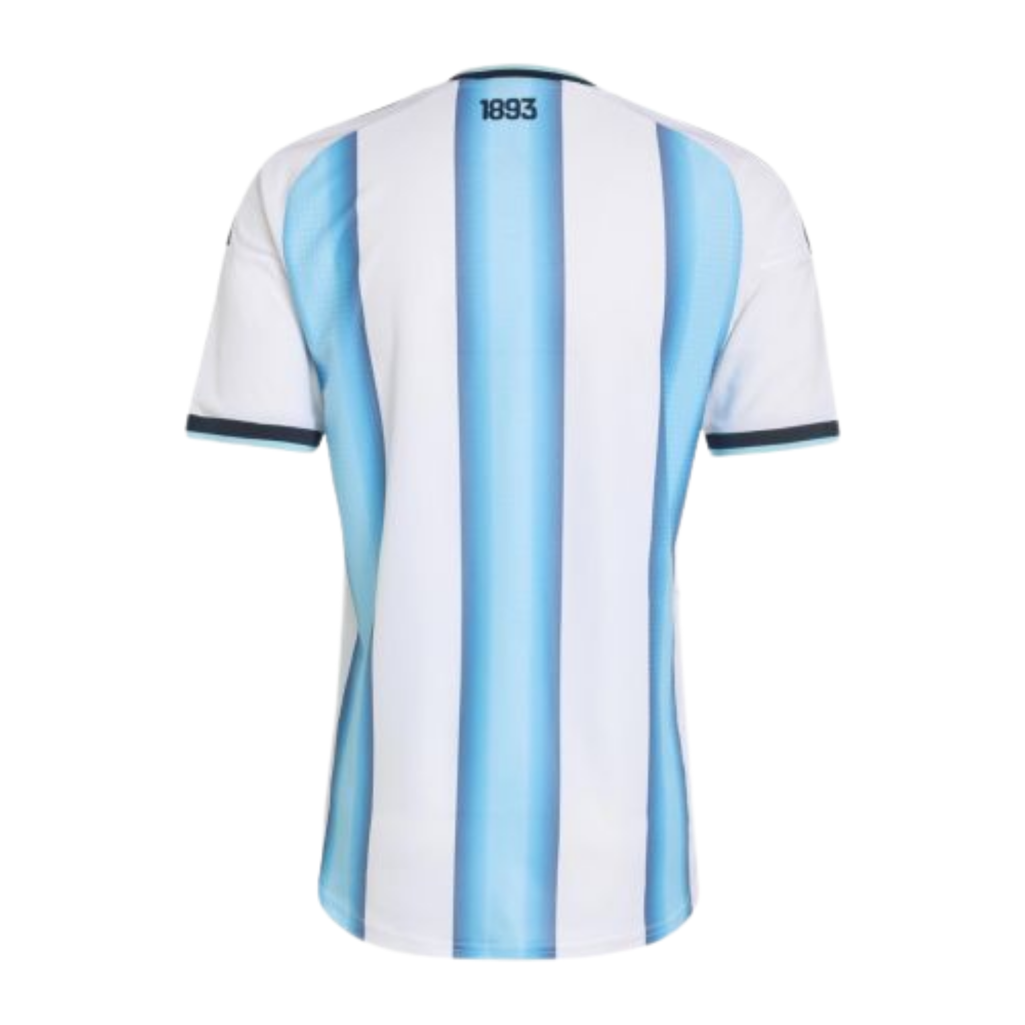 Argentina Local 2026 - Versión Jugador
