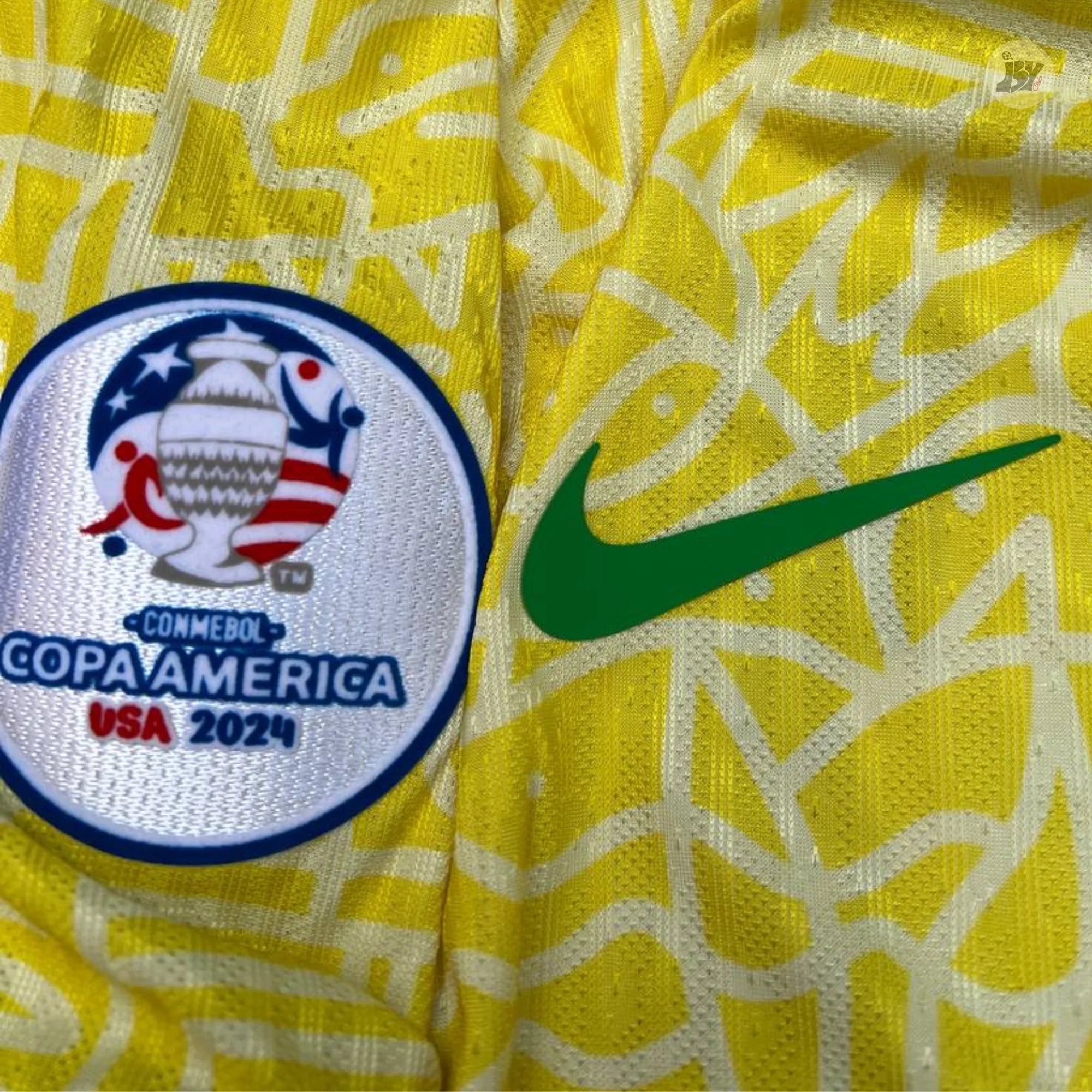 Brasil Local 2024 - Versión Jugador