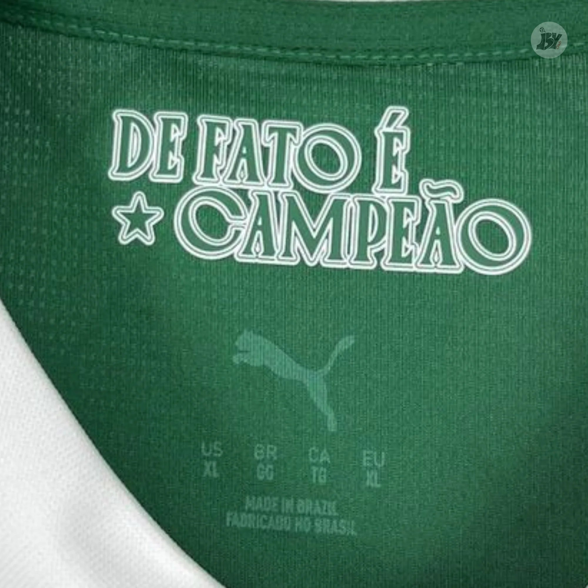 Palmeiras Local 25-26 - Versión Fan