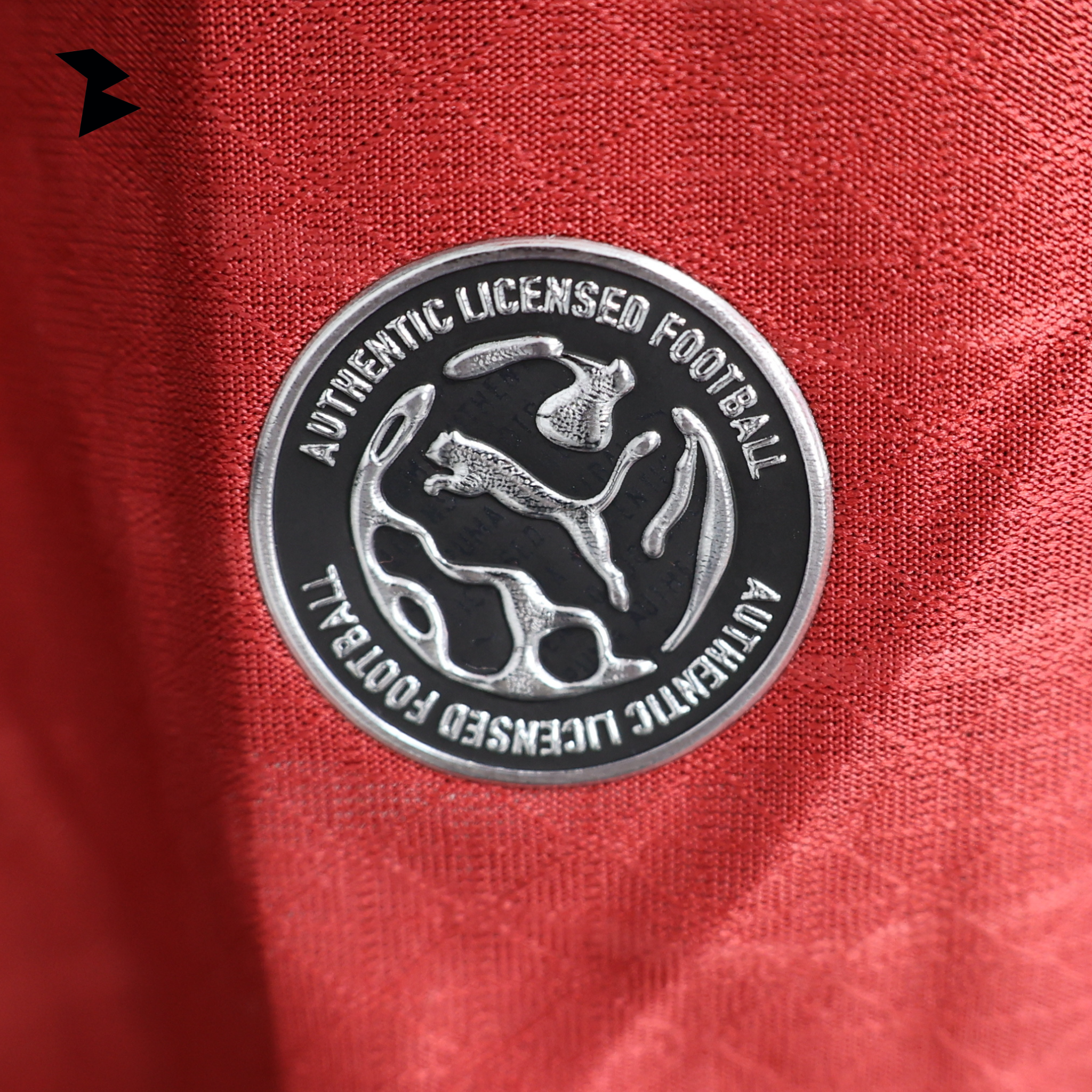 Portugal Local 2026 - Versión Jugador