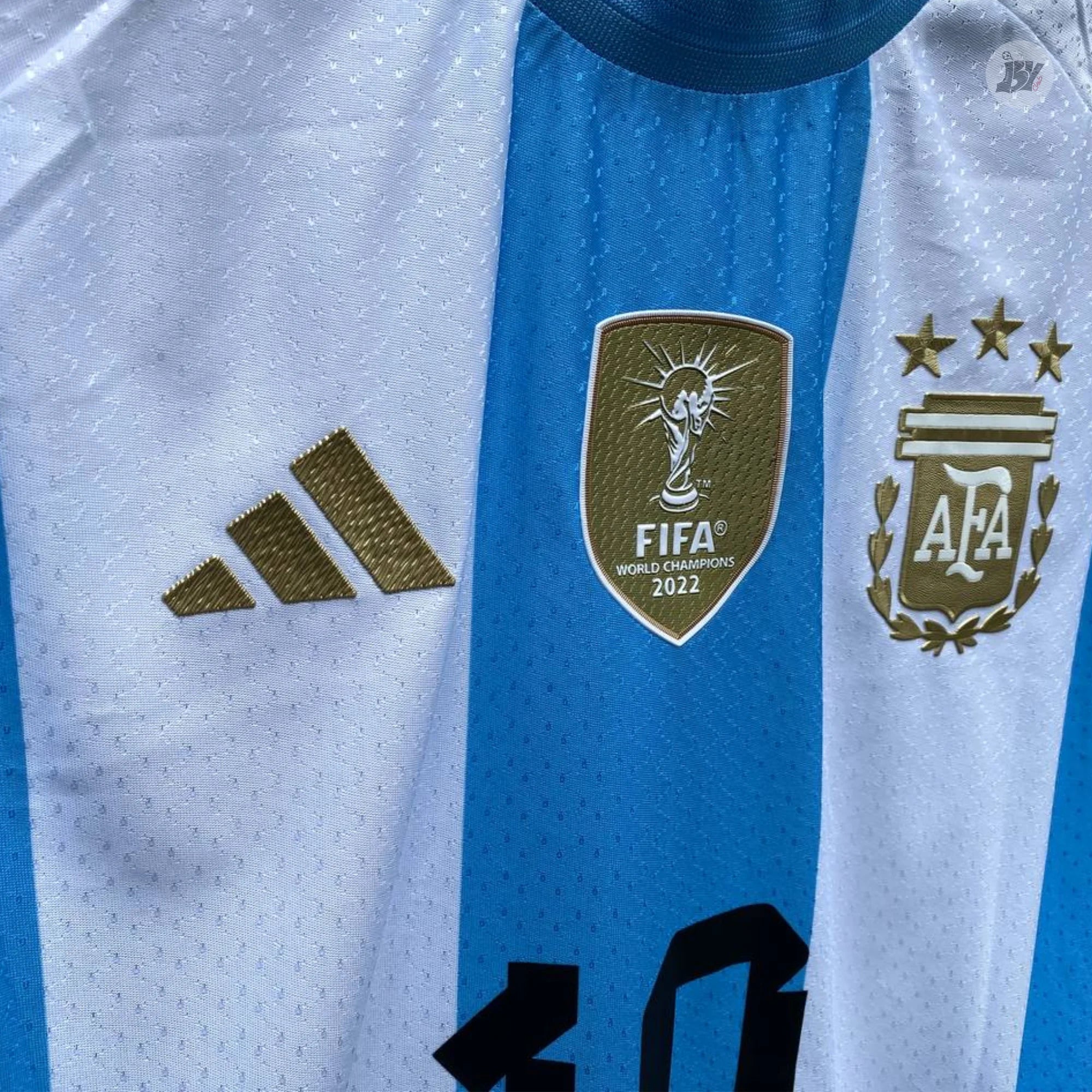 Argentina Custom 2024 - Versión Fan