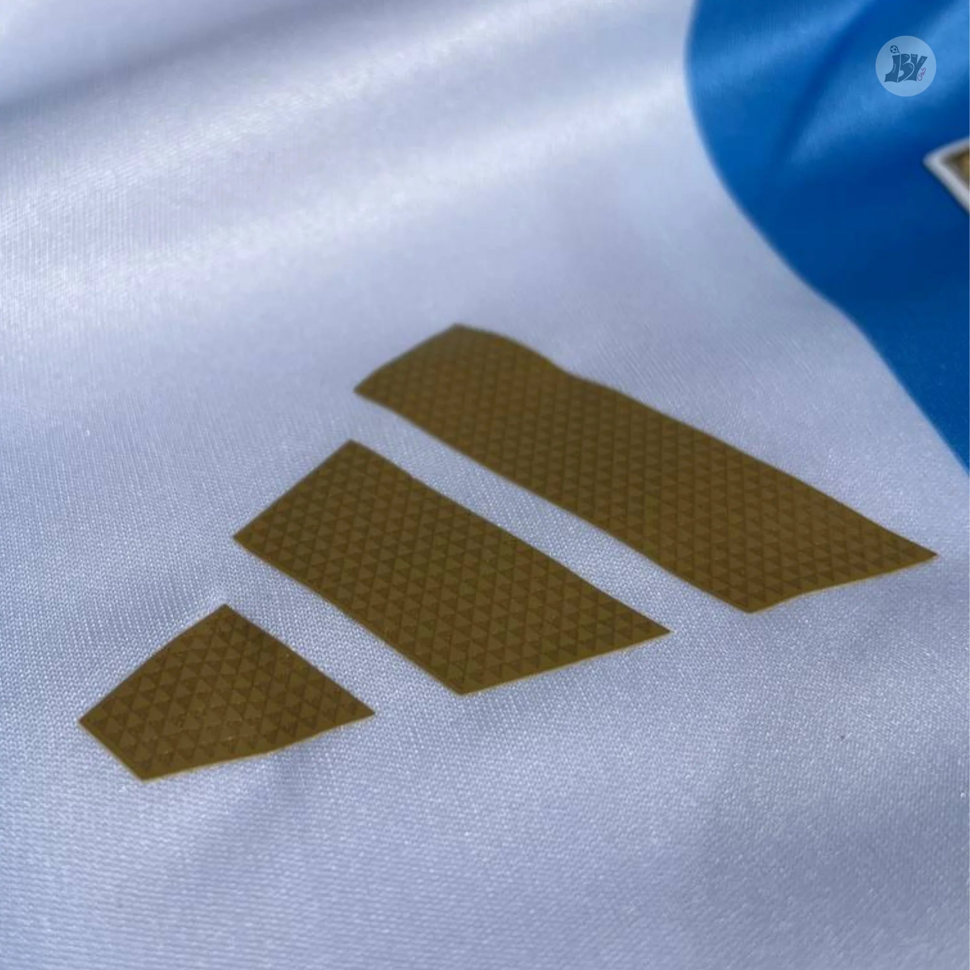 Argentina Local 2024 - Versión Jugador