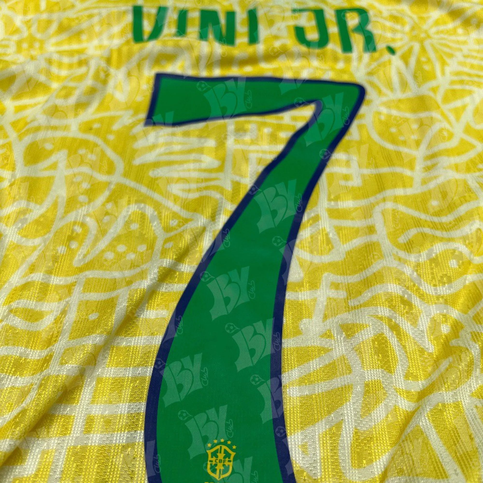 Brasil Local 2024 - Versión Jugador